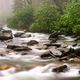 Image for article titled How To Find And Purify Drinking Water In The Wilderness